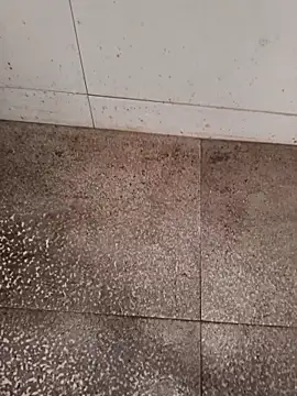 GTX-8194 online show from February 22, 2026, 6:27 am