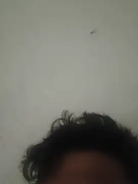 GTX-8194 online show from March 27, 2026, 8:22 am