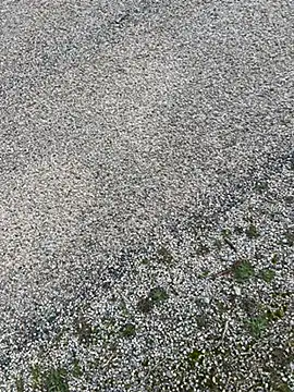 magicdickx21 online show from February 20, 2026, 2:08 pm