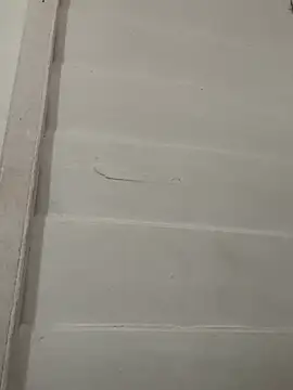 vainillasuave online show from February 1, 2026, 3:21 pm