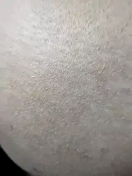 Romantic-Couple999 online show from April 7, 2026, 6:26 am