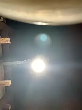 ngoccc-nga online show from March 1, 2026, 1:11 pm