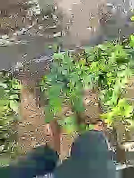 Snapshot of Cute_Boy_4 chatting on July 16, 2026, 4:31 am Cute Boy 4 online show from July 16, 2026, 4:31 am