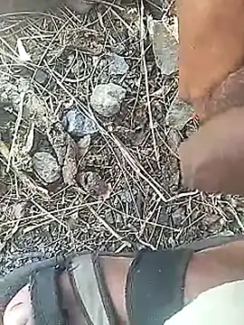 Cute Boy 4 online show from March 18, 2026, 7:00 am