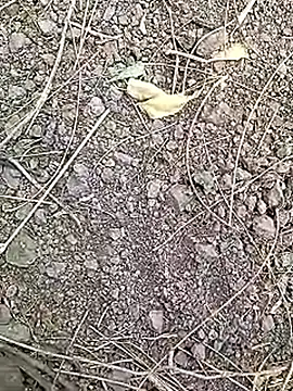 Cute Boy 4 online show from April 7, 2026, 7:32 am