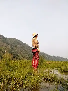 Tina-beo online show from April 2, 2026, 9:27 am