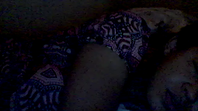 Snapshot of lorraine2036 chatting on February 17, 2026, 2:58 pm lorraine2036 online show from February 17, 2026, 2:58 pm