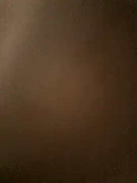 Snapshot of TropBig chatting on February 4, 2026, 9:59 am TropBig online show from February 4, 2026, 9:59 am