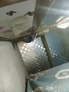 Snapshot of Dunk-namic chatting on April 14, 2026, 3:17 pm Dunk-namic online show from April 14, 2026, 3:17 pm