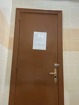 DavShi online show from February 24, 2026, 11:38 pm