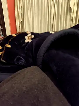 Snapshot of rubitrides11 chatting on February 11, 2026, 7:47 pm rubitrides11 online show from February 11, 2026, 7:47 pm