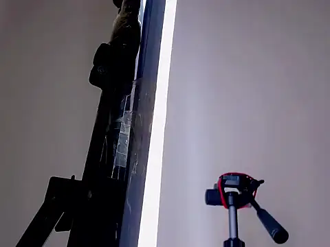 Darianna Atehortua online show from February 22, 2026, 1:02 pm