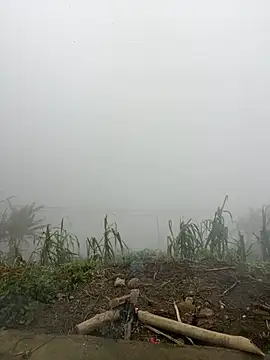 Snapshot of susin-beo chatting on February 10, 2026, 1:59 am susin-beo online show from February 10, 2026, 1:59 am