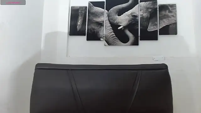 Jeff Brown77 online show from February 19, 2026, 12:02 pm