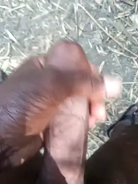 kalai 32 online show from February 17, 2026, 6:11 am