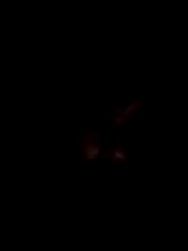 Snapshot of Harry302933 chatting on March 11, 2026, 4:56 pm Harry302933 online show from March 11, 2026, 4:56 pm