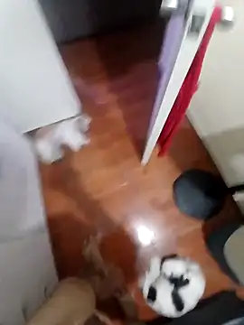 Taboada20 online show from April 8, 2026, 10:39 am