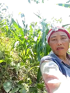 Snapshot of lena-cute chatting on May 13, 2026, 5:14 am lena-cute online show from May 13, 2026, 5:14 am