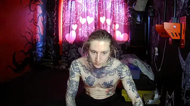 Elven Damocles online show from February 18, 2026, 12:12 pm