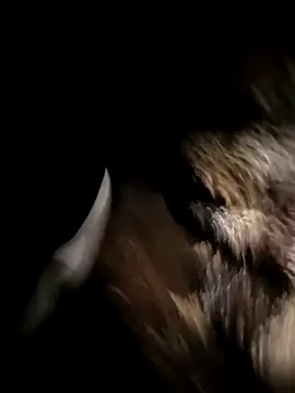 Nonamebadboy7 online show from March 18, 2026, 4:15 am