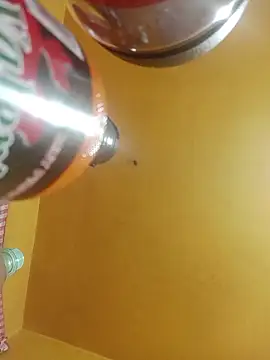 perrit17 online show from April 4, 2026, 3:13 am