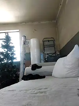 Snapshot of dickman66XX chatting on February 6, 2026, 10:11 am dickman66XX online show from February 6, 2026, 10:11 am