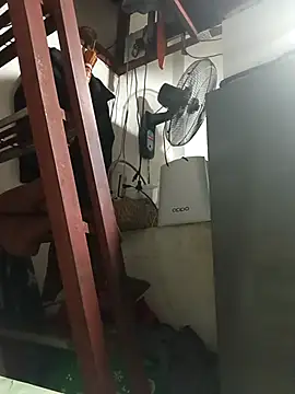 Wildcam21 online show from February 28, 2026, 6:35 am