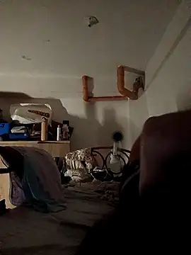 Wildcam21 online show from February 19, 2026, 5:21 pm