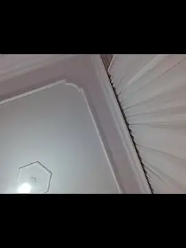 boraaily online show from February 19, 2026, 10:40 pm