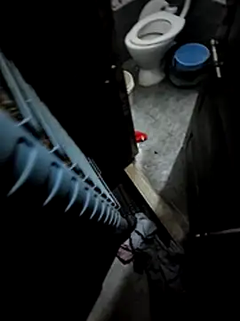 desimuslimcouple23 online show from March 1, 2026, 6:08 pm