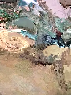 Snapshot of amushabbar69 chatting on February 6, 2026, 8:54 am amushabbar69 online show from February 6, 2026, 8:54 am