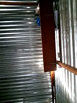 DocCock021 online show from February 7, 2026, 5:04 am