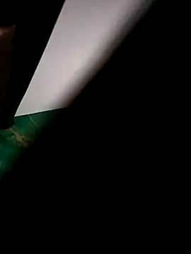 Snapshot of saswatji chatting on February 16, 2026, 1:48 am saswatji online show from February 16, 2026, 1:48 am