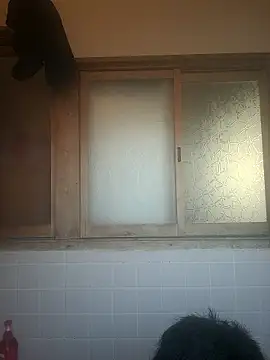 Dotsan online show from April 2, 2026, 8:32 am