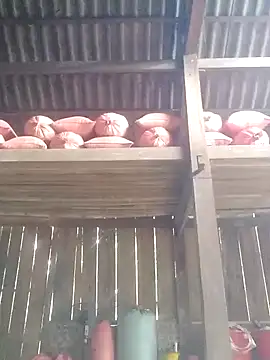 Linka998 online show from March 3, 2026, 6:31 am