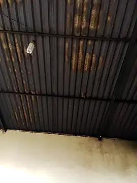 Linka998 online show from April 2, 2026, 5:25 am