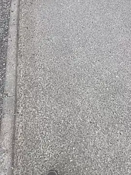 Snapshot of stallone_italiano_62 chatting on April 12, 2026, 6:16 am stallone italiano 62 online show from April 12, 2026, 6:16 am