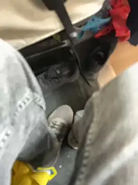 Snapshot of stallone_italiano_62 chatting on March 21, 2026, 2:54 pm stallone italiano 62 online show from March 21, 2026, 2:54 pm