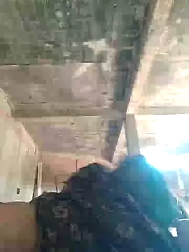 Loomaraj online show from April 12, 2026, 7:33 am