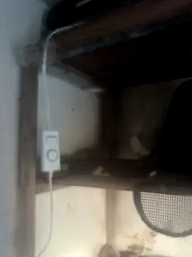 hydra0613 online show from February 22, 2026, 10:44 pm