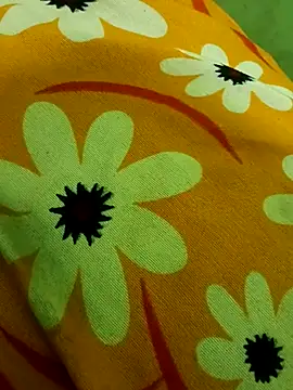 Snapshot of Ranjet01 chatting on February 13, 2026, 1:33 pm Ranjet01 online show from February 13, 2026, 1:33 pm