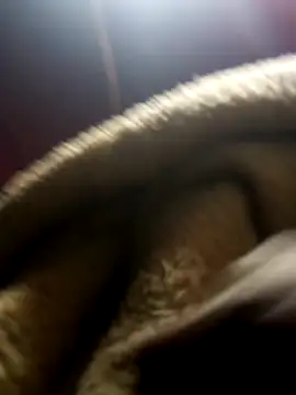 jodezww online show from March 1, 2026, 8:47 am