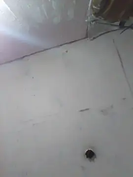 Snapshot of cobrosdepagos chatting on April 11, 2026, 4:20 am cobrosdepagos online show from April 11, 2026, 4:20 am