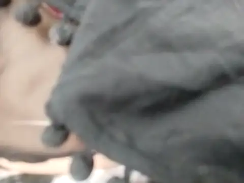 VeraVS online show from February 20, 2026, 9:22 am