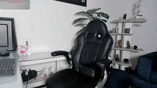 Chanelwill online show from April 13, 2026, 12:20 pm