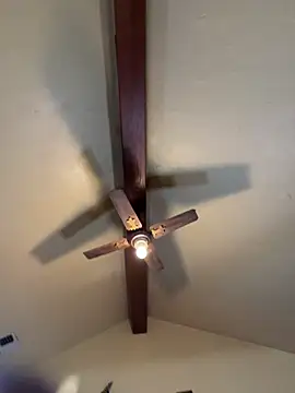 Snapshot of Link_and_Saria chatting on March 1, 2026, 12:27 pm Link and Saria online show from March 1, 2026, 12:27 pm