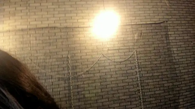 hillary bigbutt online show from April 13, 2026, 10:30 am