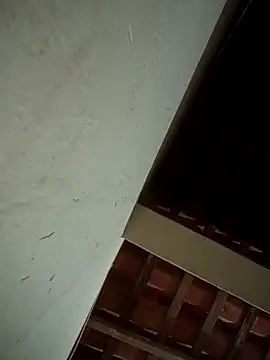 euchapo99 online show from April 4, 2026, 5:47 am