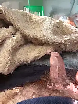 Snapshot of D4n13l47 chatting on March 4, 2026, 10:01 am D4n13l47 online show from March 4, 2026, 10:01 am