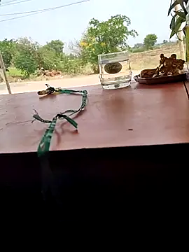 Snapshot of Chandu1245 chatting on April 11, 2026, 8:07 am Chandu1245 online show from April 11, 2026, 8:07 am